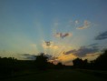 IMAGE 094